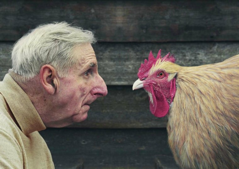 Мужик с курицей