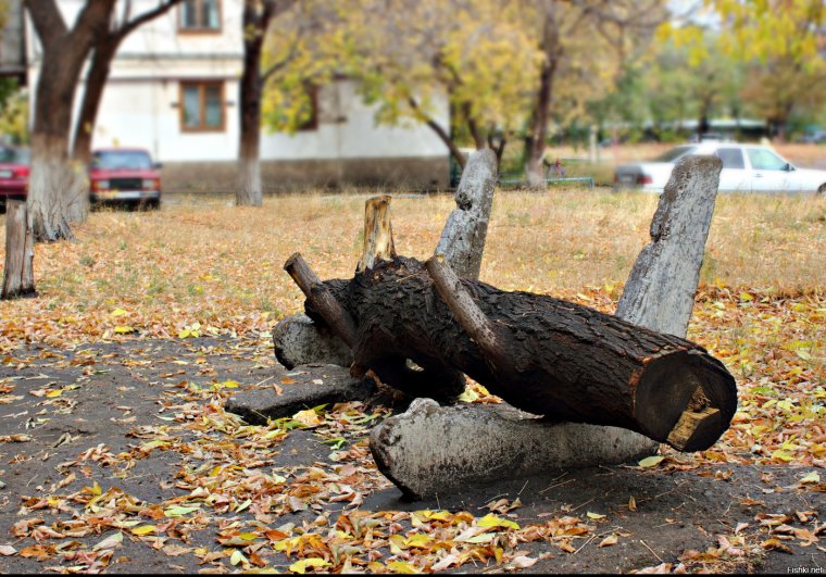 Приколы на лавочке