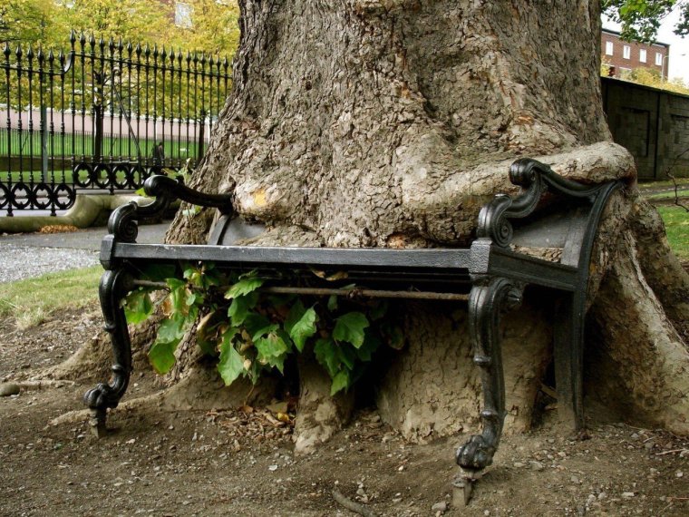 Шпагат на лавке