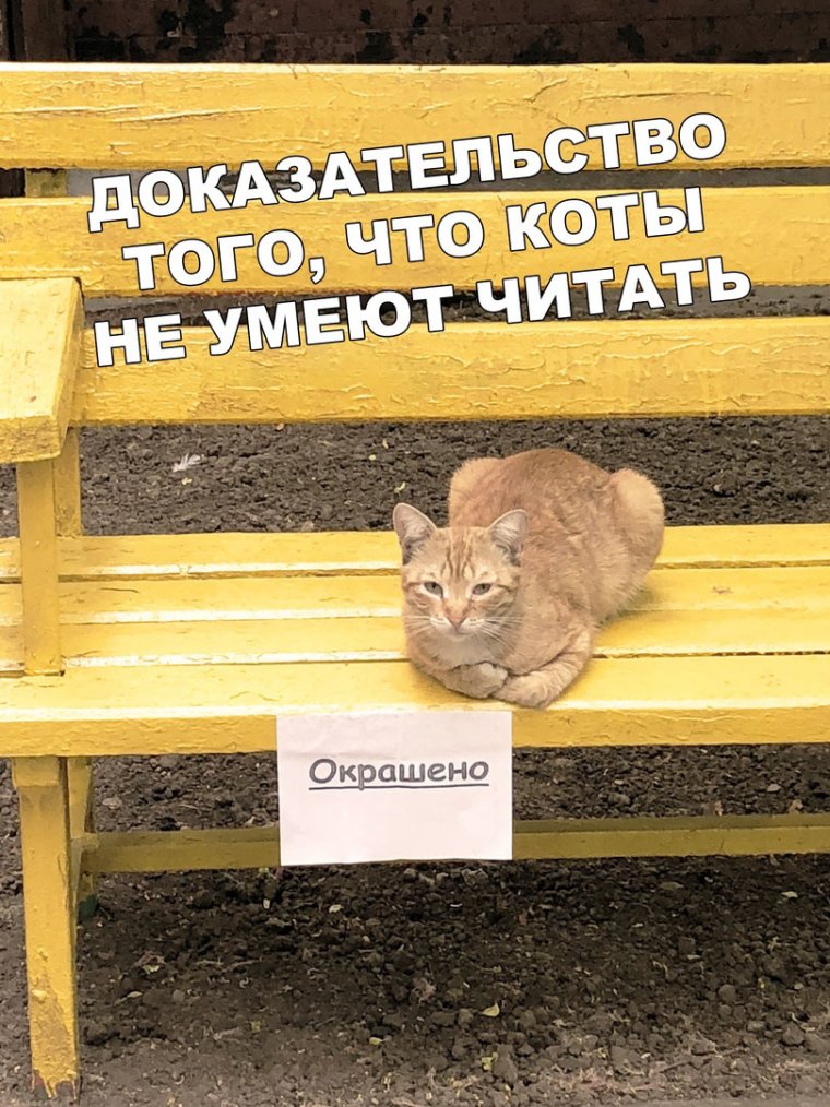 Креативные скамейки