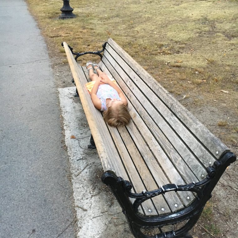 Смешные лавочки