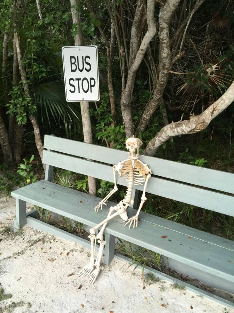 Бабушки на скамейке