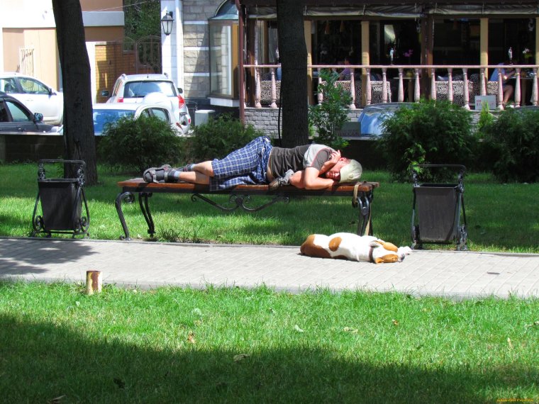 Смешные скамейки