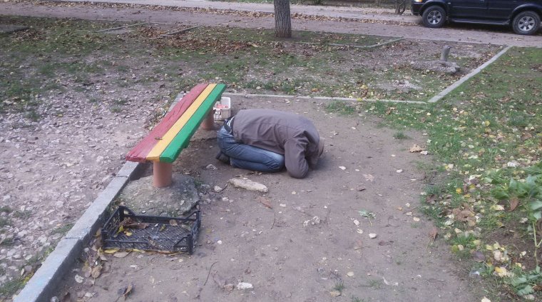 Жирный кот на лавочке