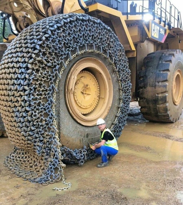 Шины смешные