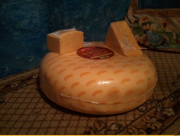 Сыр фото приколы