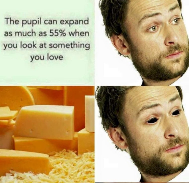 Cheese meme