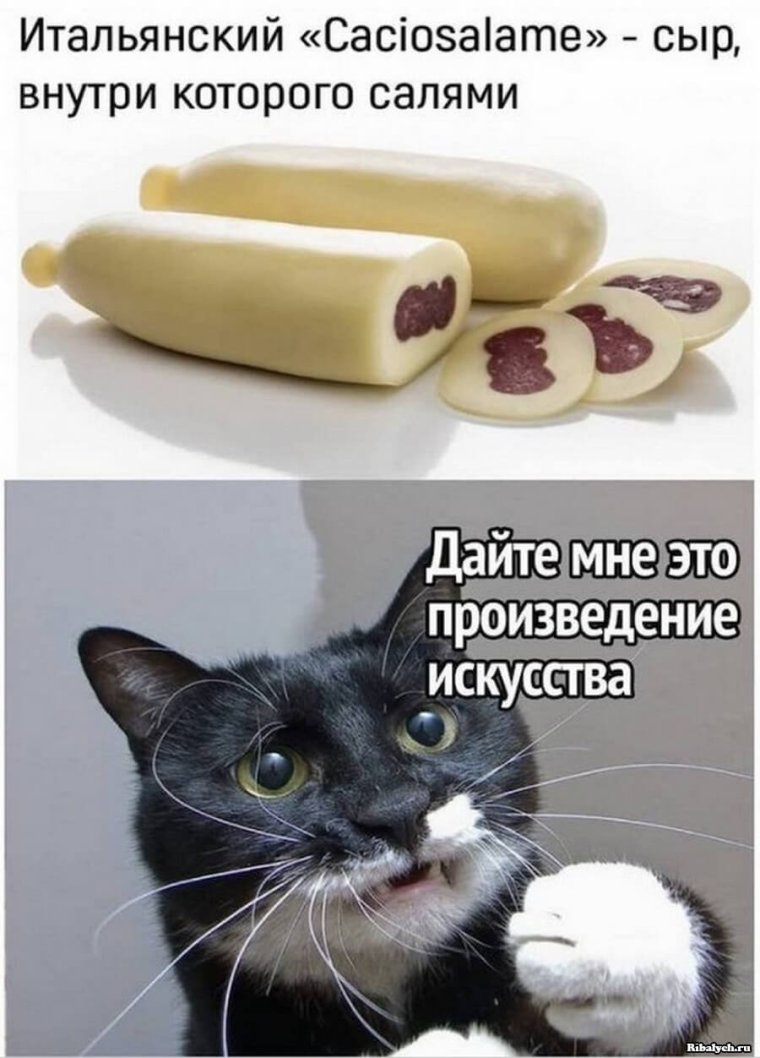 Про сыр прикольные