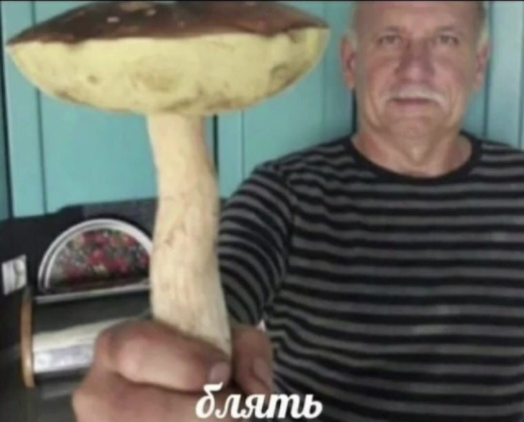 Мужик с грибом