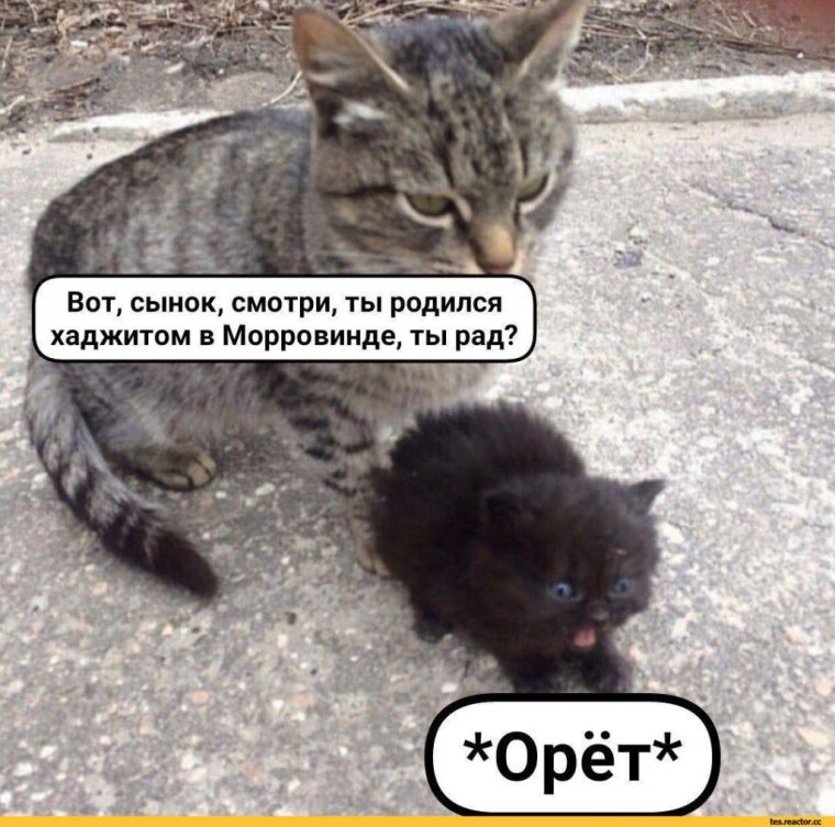 Смотри сынок это Татарстан