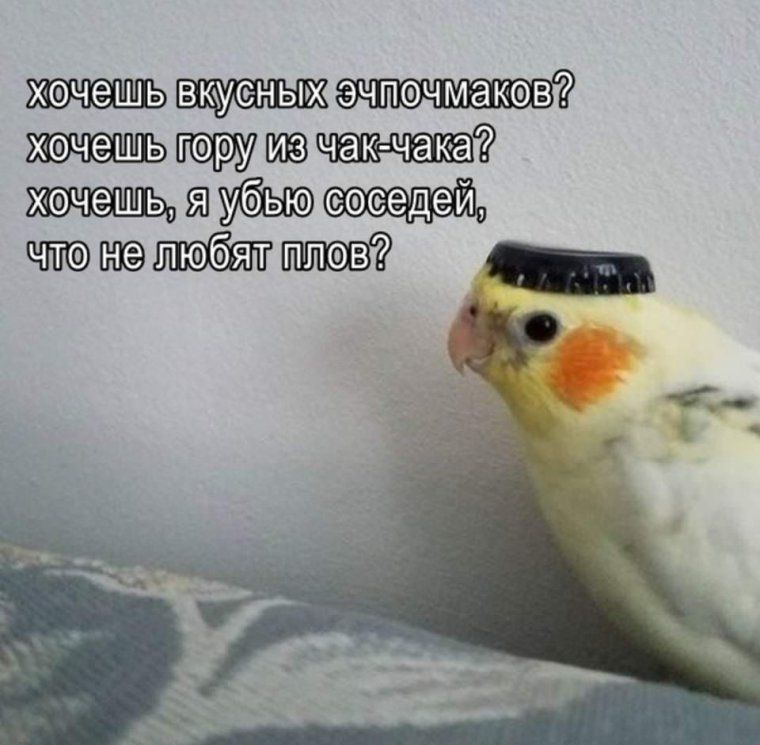 Твое новое узбекское имя