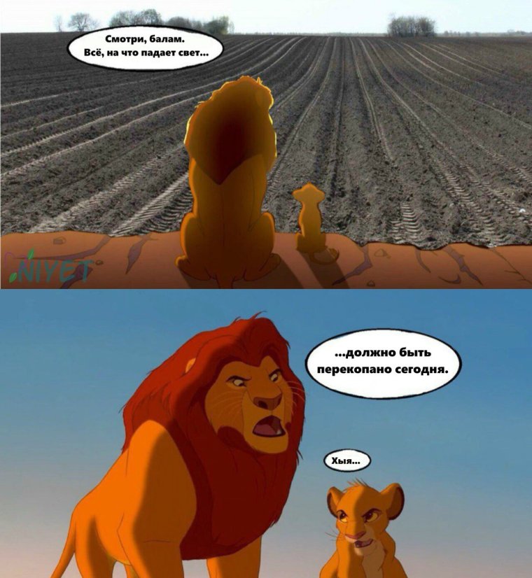 Анекдоты про татар смешные