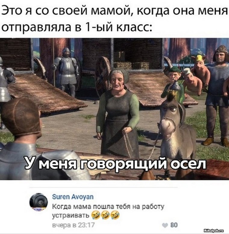 У меня говорящий осёл