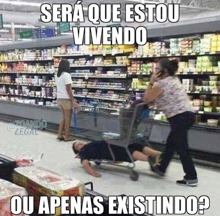 Шпиц в магазине