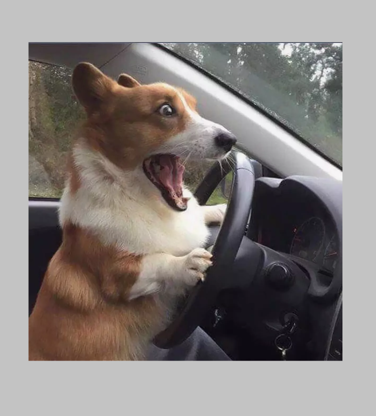 Первый раз за рулем прикол