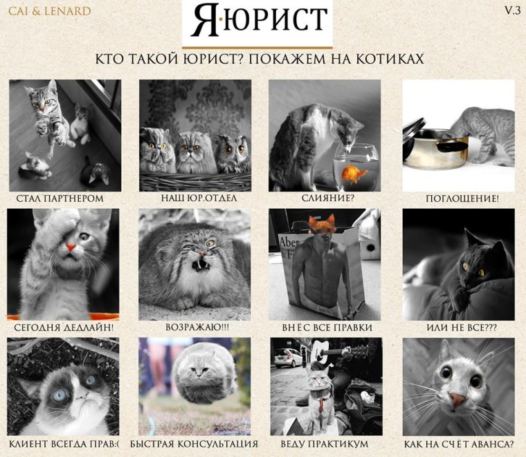 Кто такой юрист