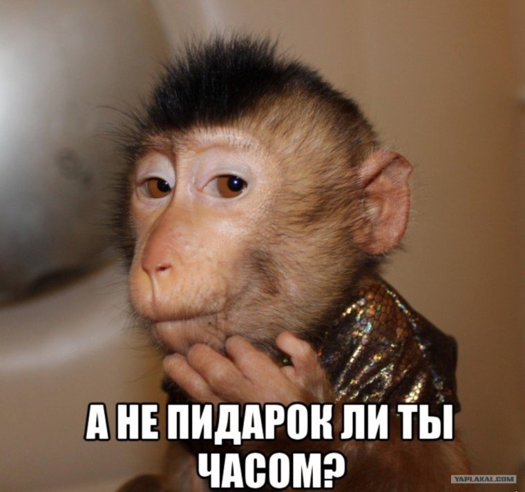 Сергей обозначение имени