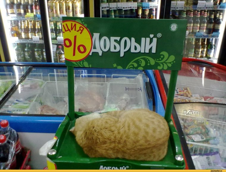 Добрые приколы