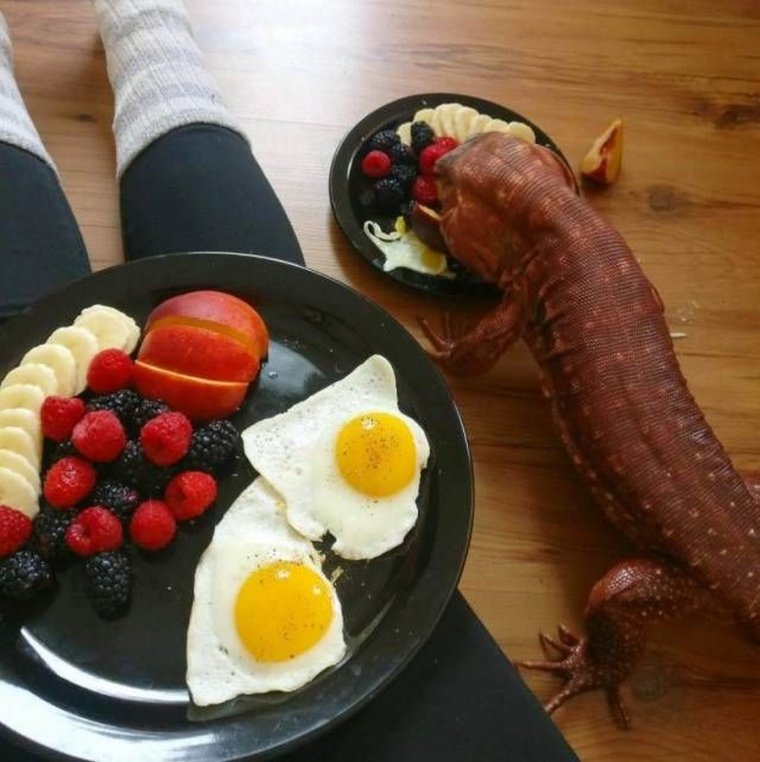 Фотоприколы про еду