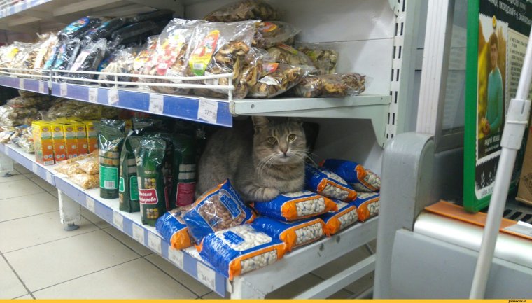 Супермаркет прикол