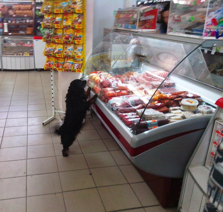 Магазин приколов