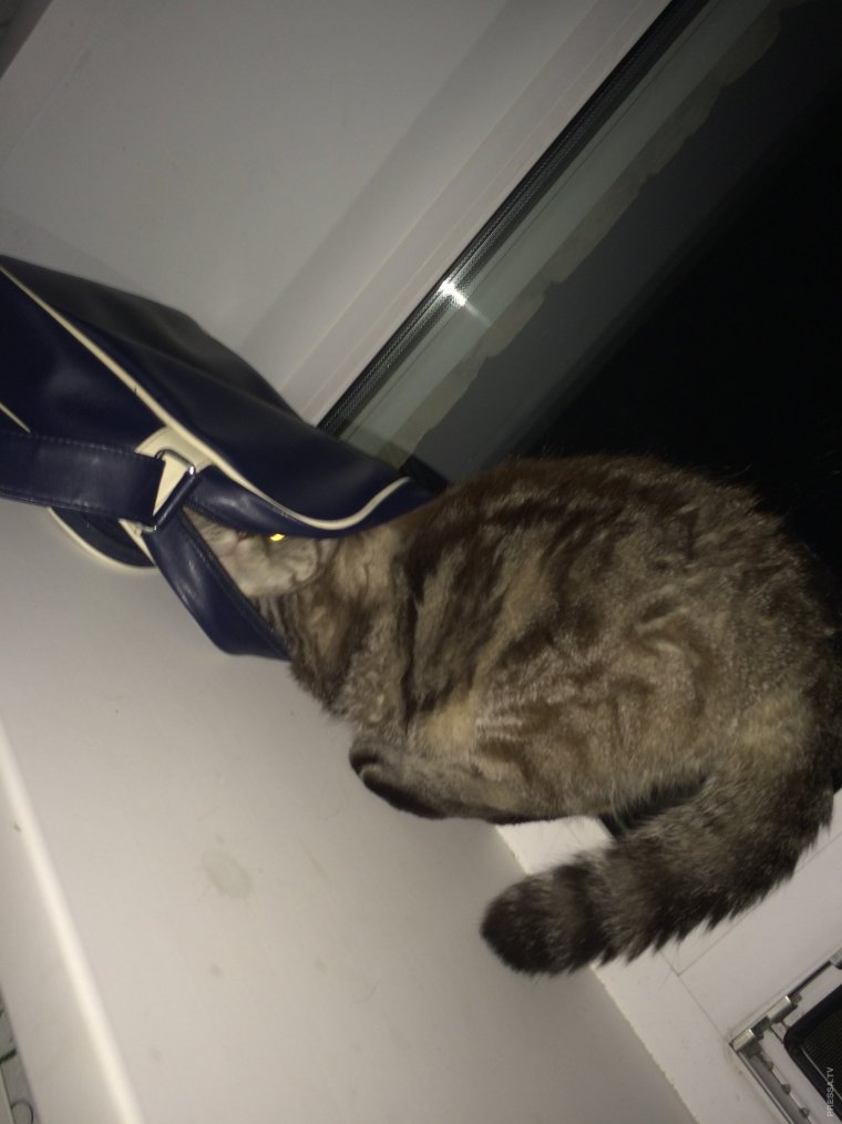 Фото про зарплату прикольные