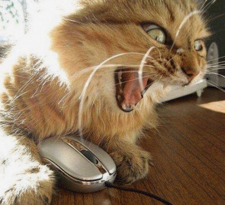 С пятницей картинки