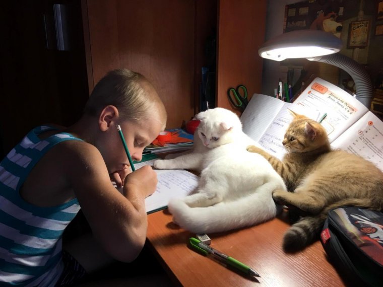 Фото приколы для поднятия настроения