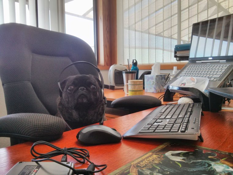 Оператор прикол