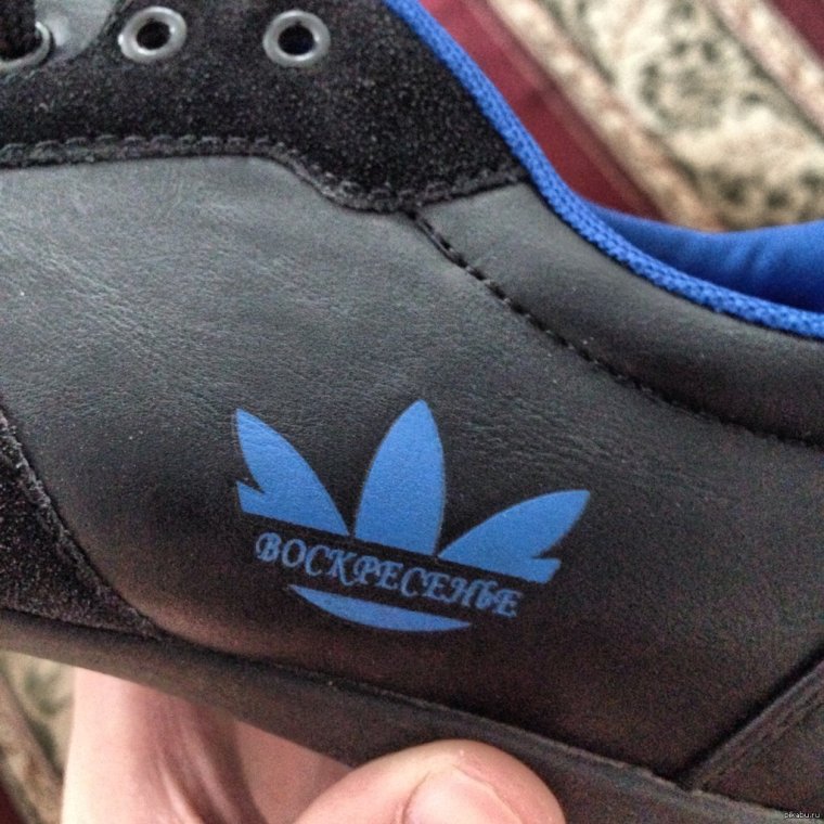 Кот в адидасе