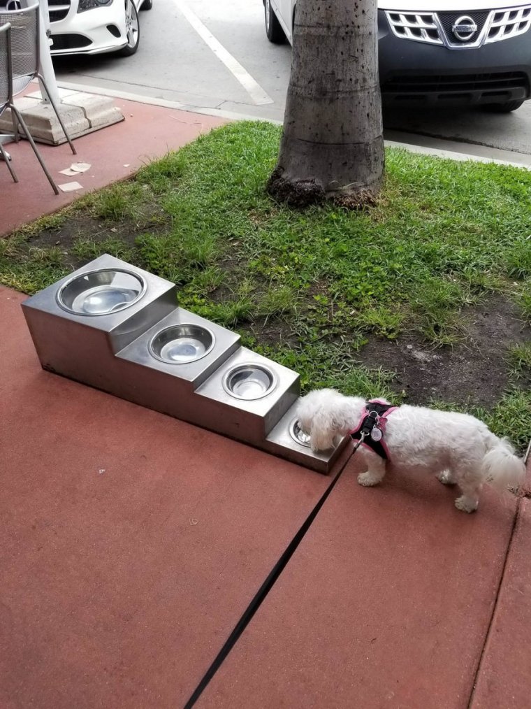 Приколы Смеяка