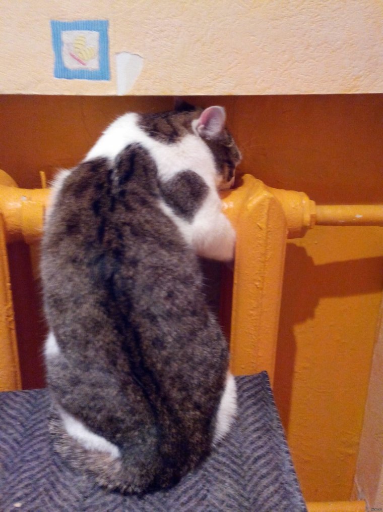 Дали отопление