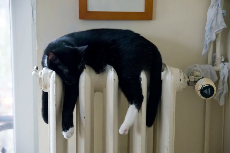 Кот на батарее
