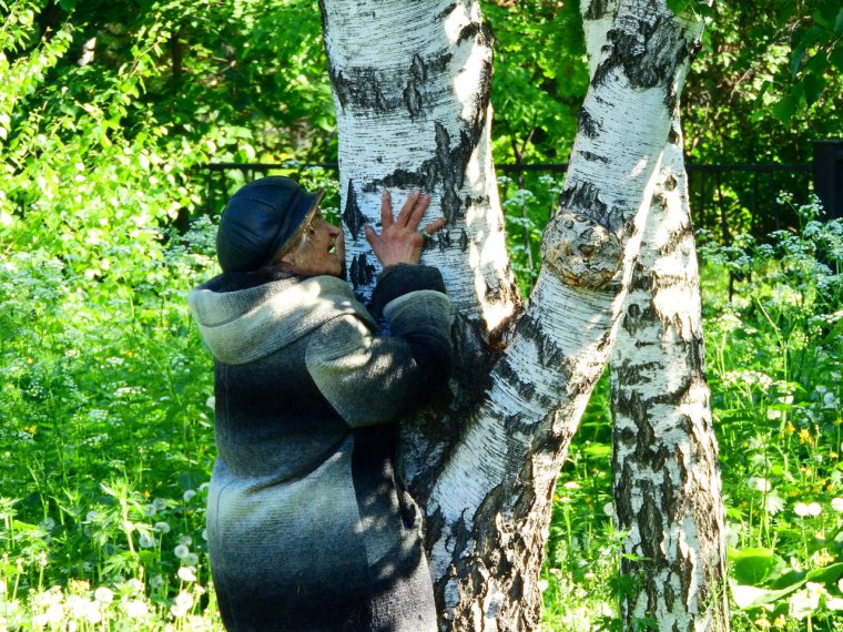 Девушка обнимает березу