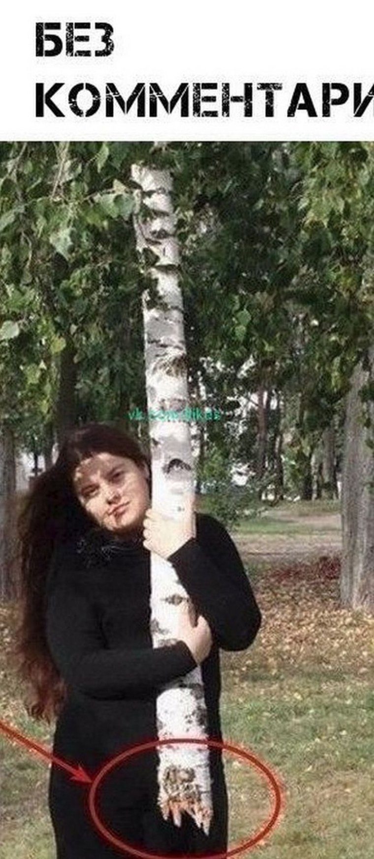 Девушка с березой Мем