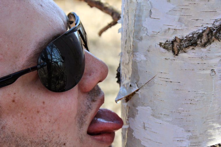 Владислав Кузьмичёв березовый сок