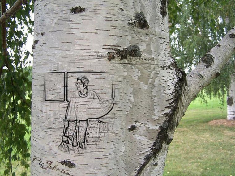 Надпись на стволе дерева