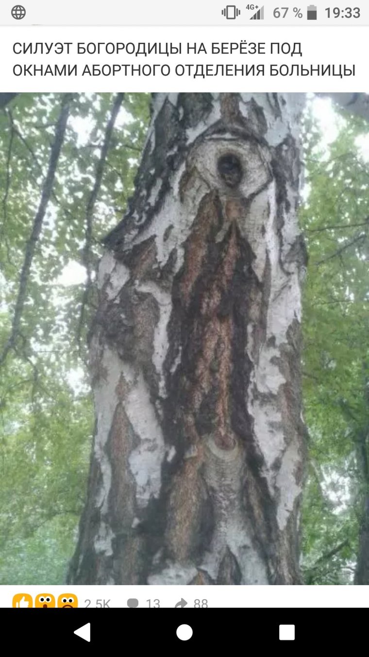 Образ Богородицы на Березе в Саранске