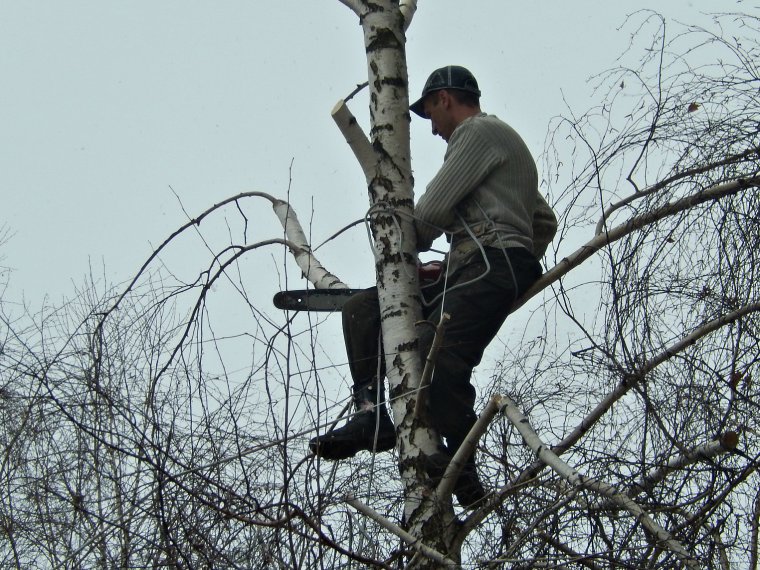 Интернет на Березе