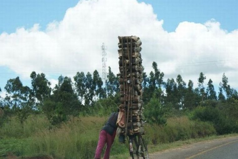 Дрова приколы