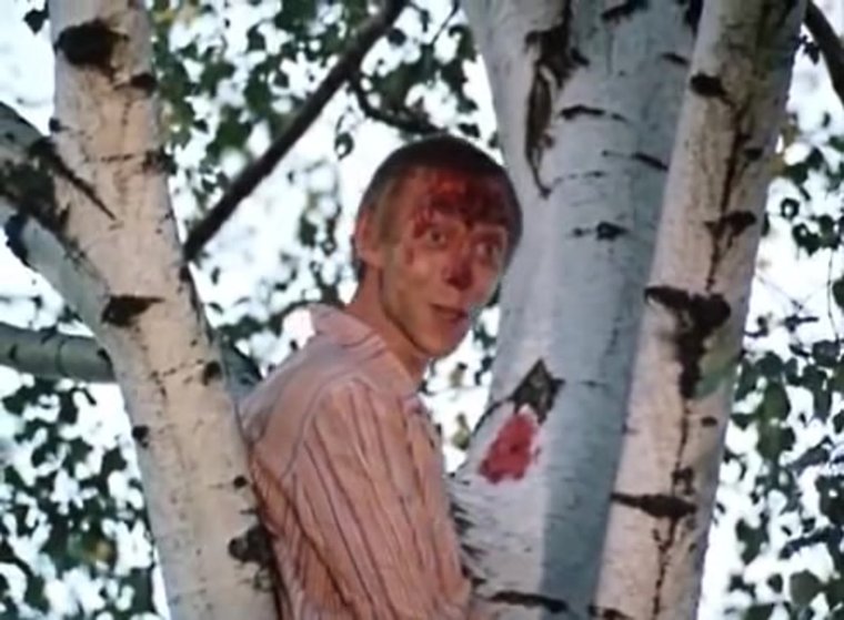 Дерево из советского фильма