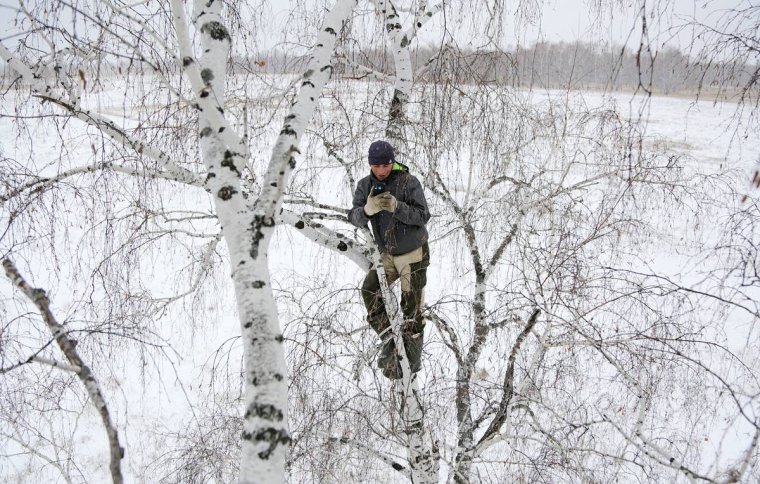 Алексей Дудоладов Омская область береза