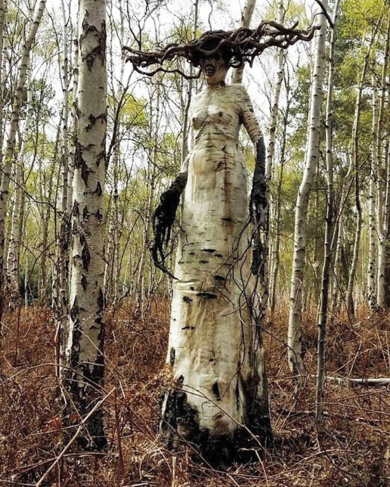 Прокудливая береза