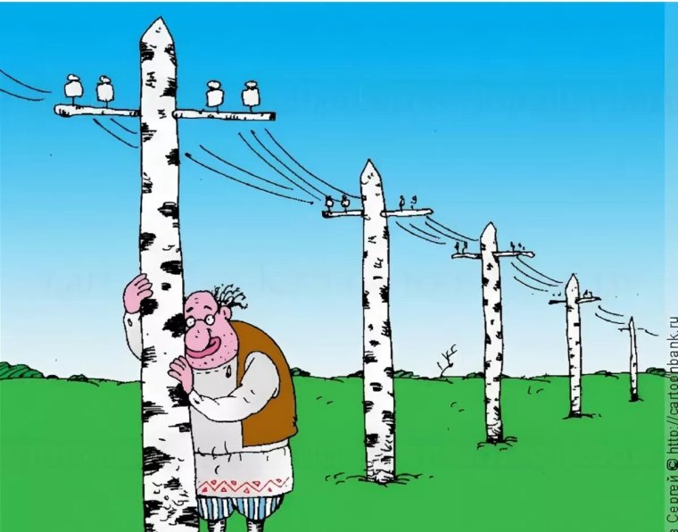 Березка карикатура
