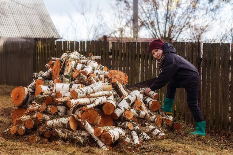 Дрова спиленные