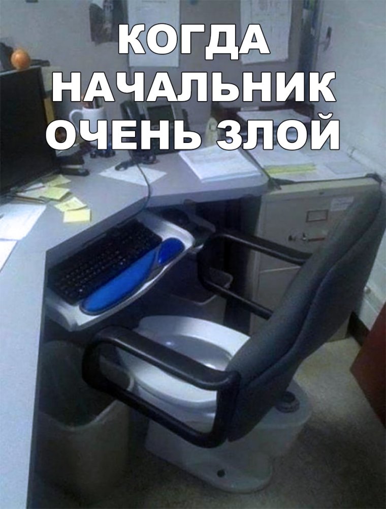 Когда шеф в отпуске картинки