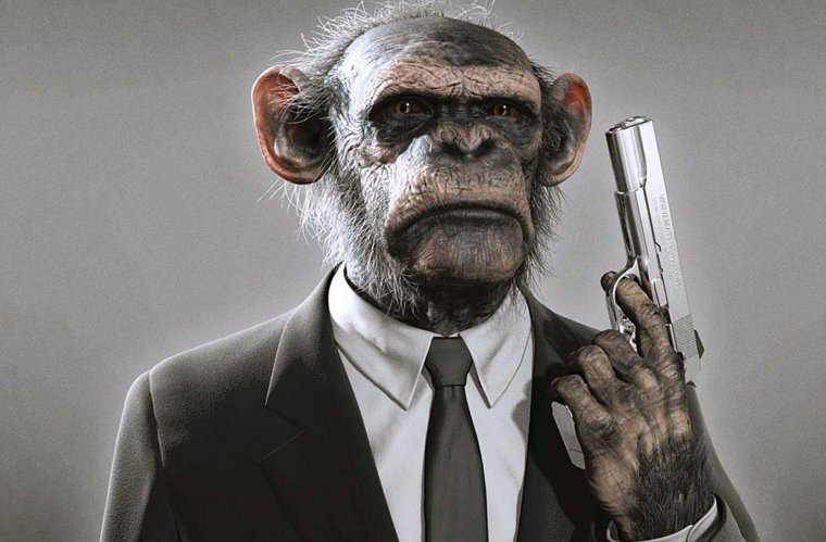 Мартышка с пистолетом