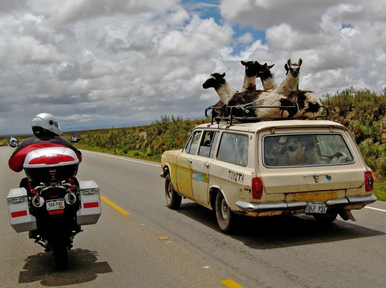 Приколы про автомобили