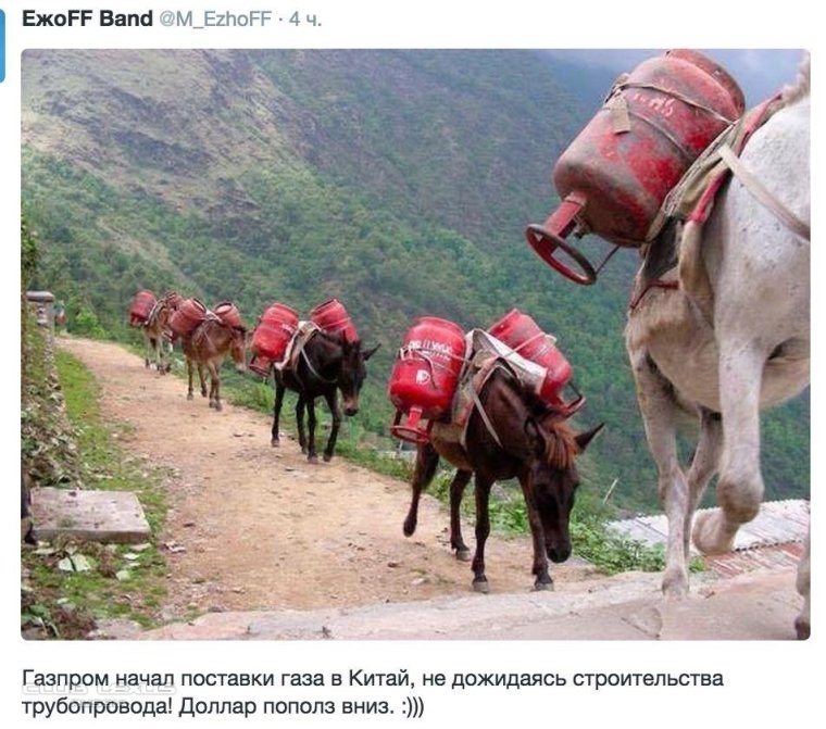 Осел с газовым баллоном