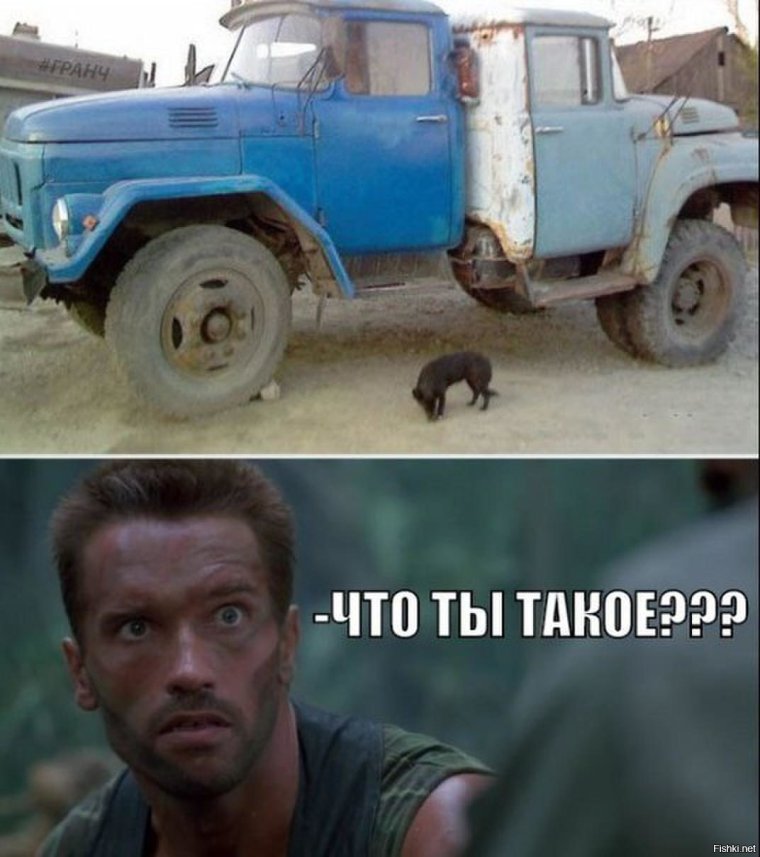Грузовик Мем